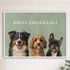 HORIZONTAL 11X14 BLACK